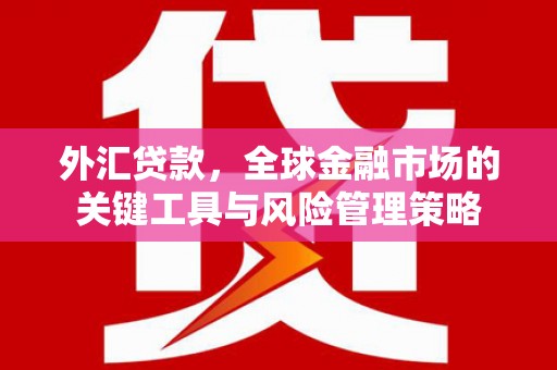 秀峰外汇贷款，全球金融市场的关键工具与风险管理策略