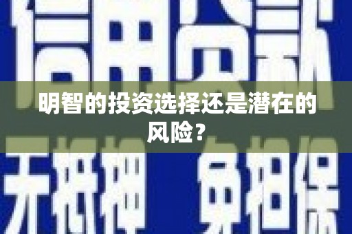 秀峰明智的投资选择还是潜在的风险？
