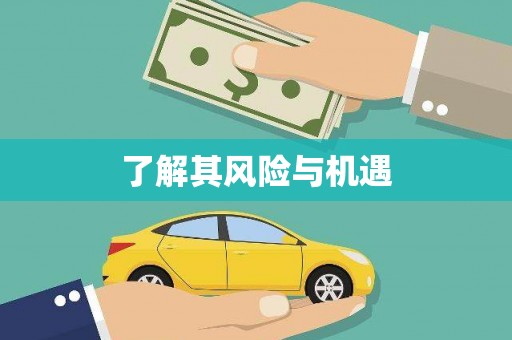 秀峰了解其风险与机遇