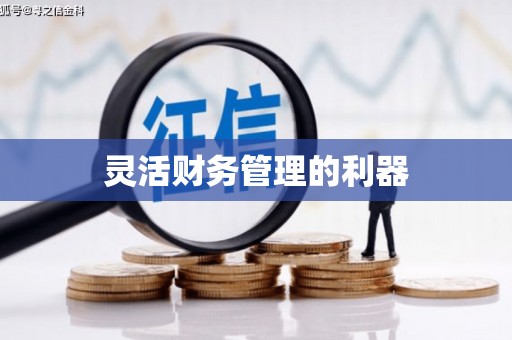 秀峰灵活财务管理的利器