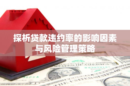 秀峰探析贷款违约率的影响因素与风险管理策略