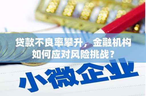 秀峰贷款不良率攀升，金融机构如何应对风险挑战？