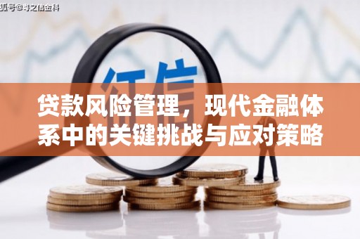 秀峰贷款风险管理，现代金融体系中的关键挑战与应对策略