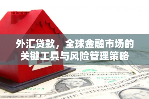 秀峰外汇贷款，全球金融市场的关键工具与风险管理策略