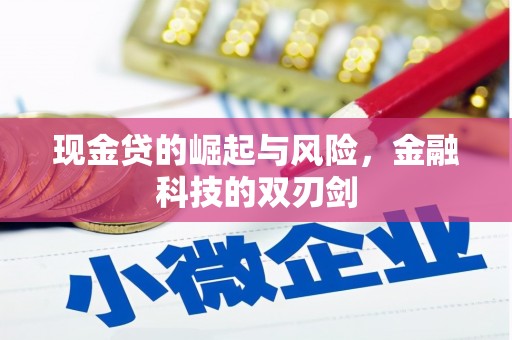 秀峰现金贷的崛起与风险，金融科技的双刃剑