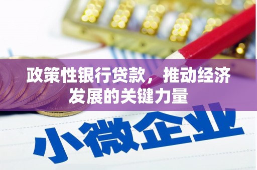 秀峰政策性银行贷款，推动经济发展的关键力量