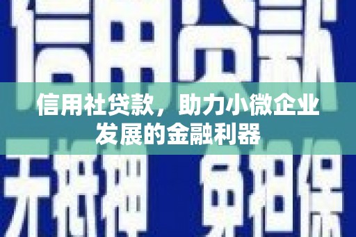 秀峰信用社贷款，助力小微企业发展的金融利器