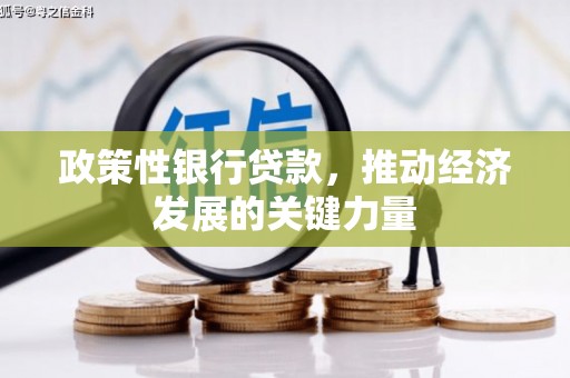 秀峰政策性银行贷款，推动经济发展的关键力量