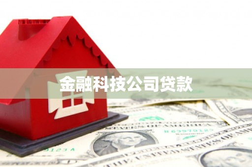 秀峰金融科技公司贷款