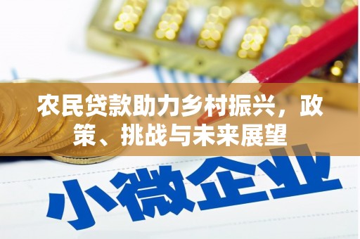 秀峰农民贷款助力乡村振兴，政策、挑战与未来展望
