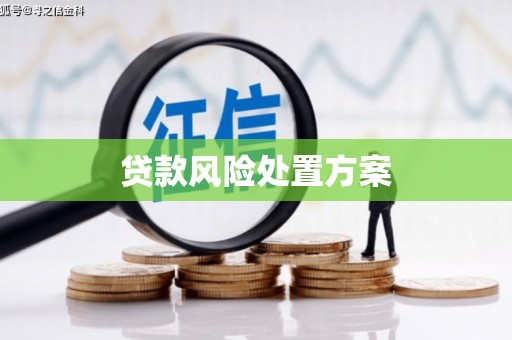 秀峰贷款风险处置方案
