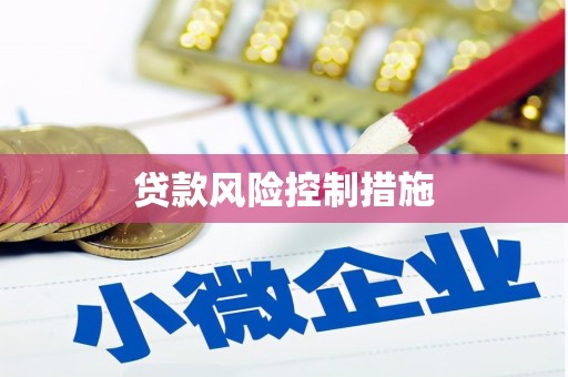 秀峰贷款风险控制措施