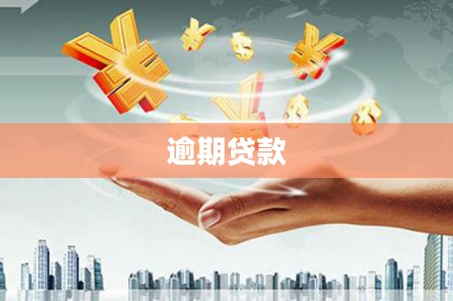 秀峰逾期贷款